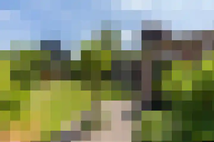 Merefeltstraat 14 Veldhoven thumbnail 50