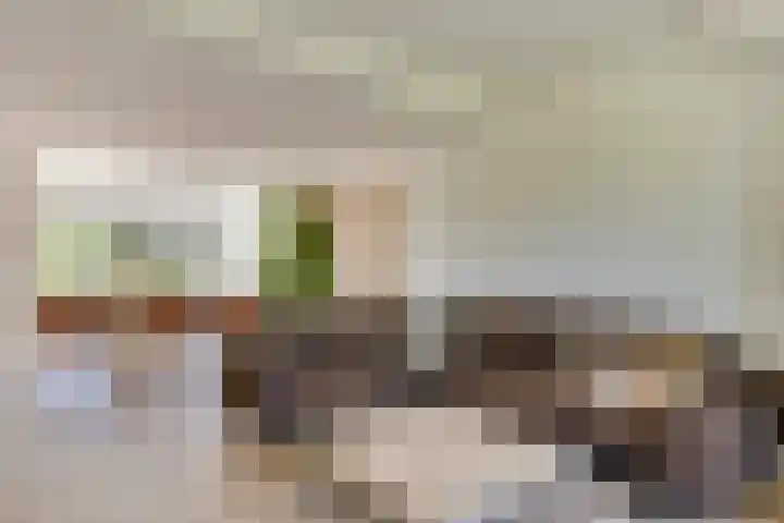 Merefeltstraat 14 Veldhoven thumbnail 8