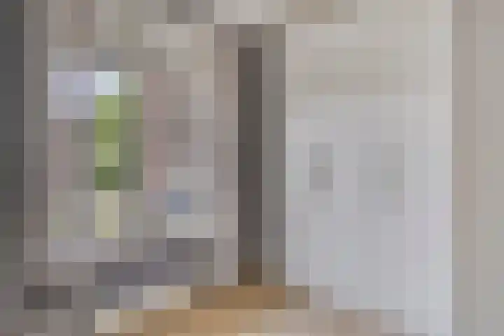 Merefeltstraat 17 Veldhoven thumbnail 18