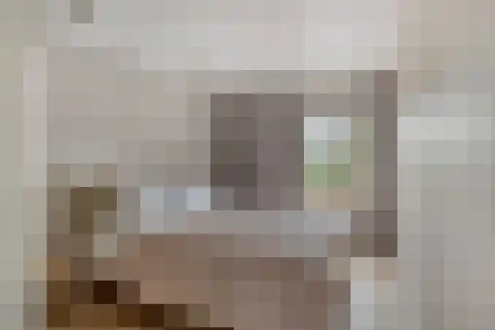 Merefeltstraat 17 Veldhoven thumbnail 20