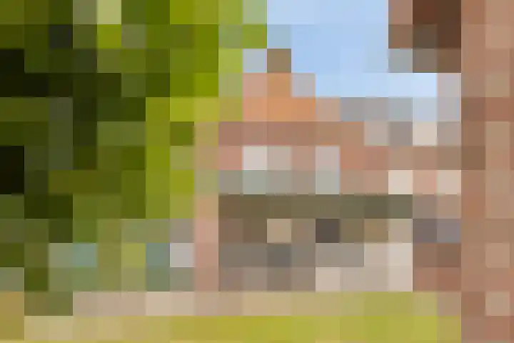 Merefeltstraat 17 Veldhoven thumbnail 29