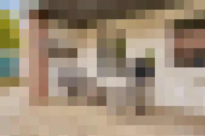 Merefeltstraat 17 Veldhoven thumbnail 32