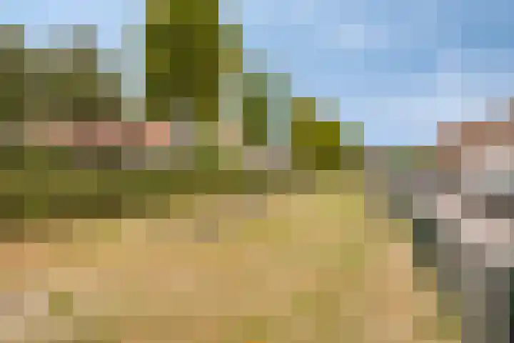 Merefeltstraat 17 Veldhoven thumbnail 35