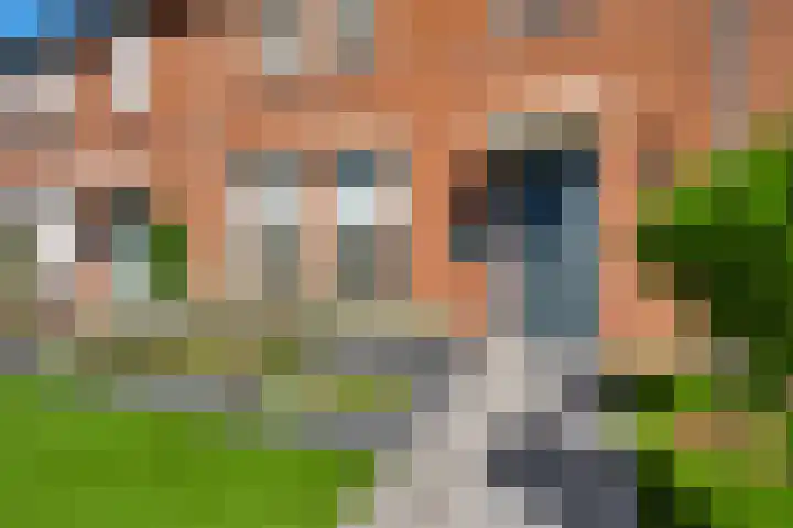 Merefeltstraat 21 Nederweert thumbnail 6