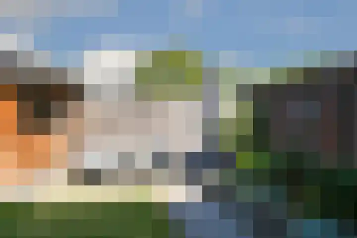 Merefeltstraat 28 Nederweert thumbnail 21