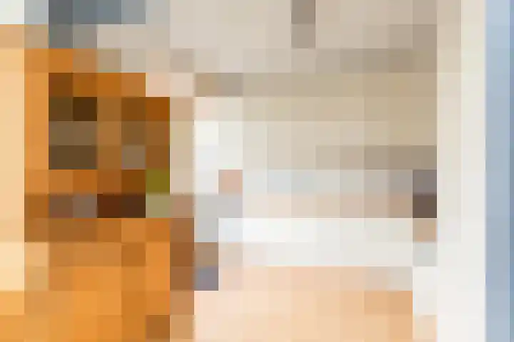 Merel 10 Bodegraven thumbnail 13