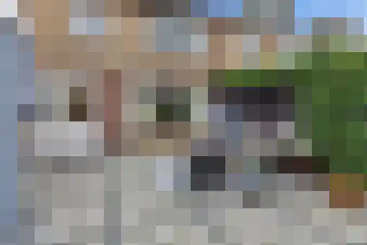 Merel 10 Bodegraven thumbnail 19