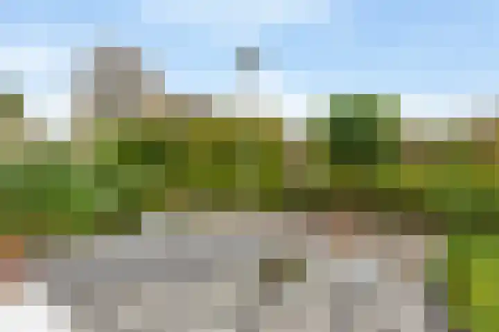 Merel 10 Bodegraven foto 2