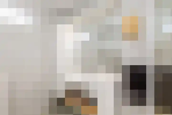 Merel 10 Bodegraven thumbnail 28