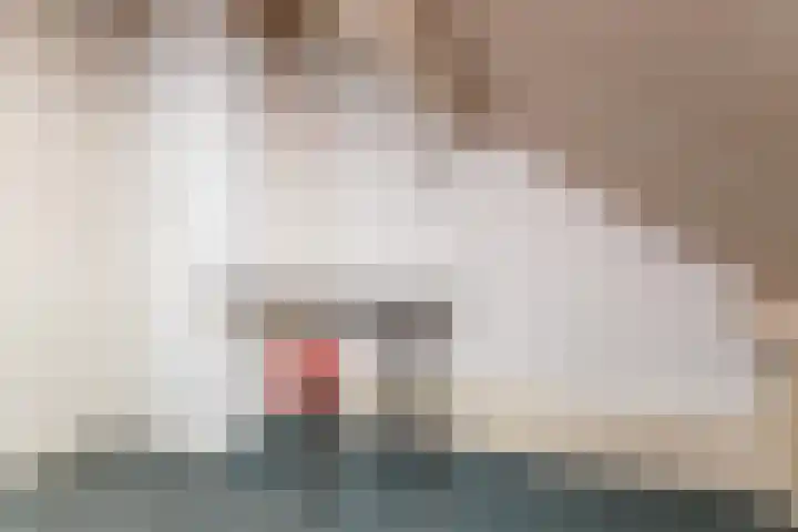 Merel 10 Bodegraven thumbnail 32