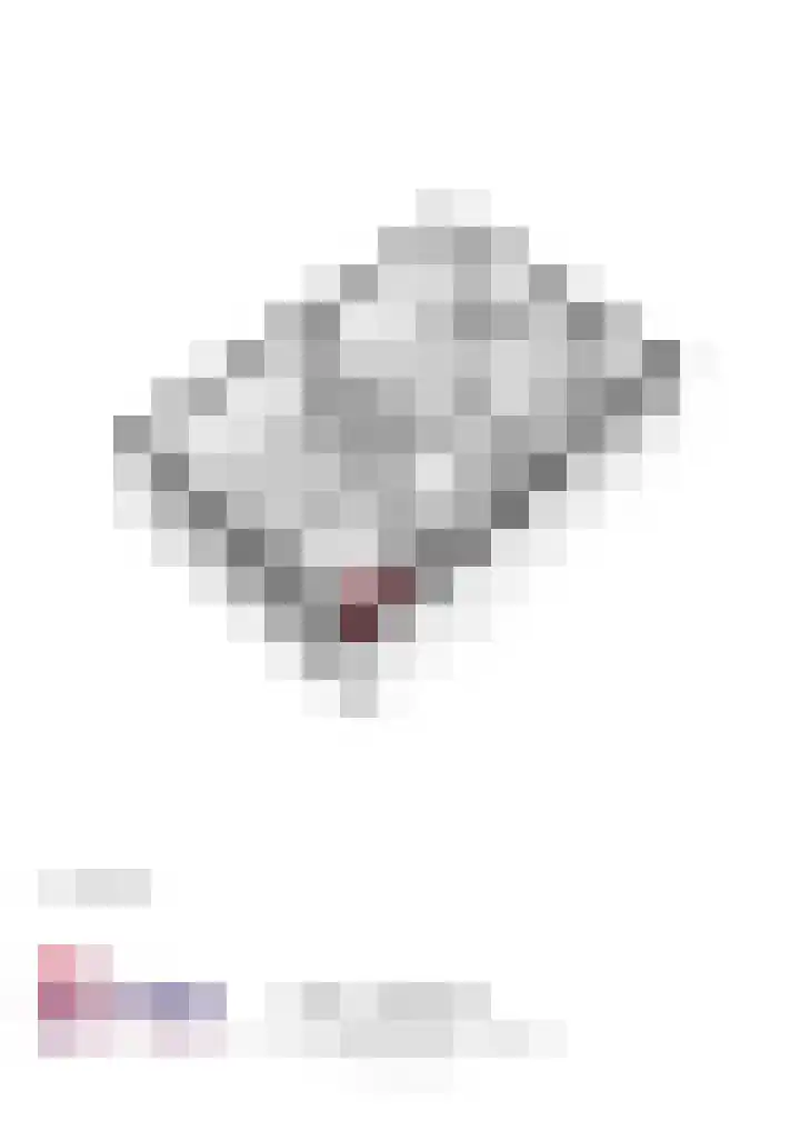 Merel 10 Bodegraven thumbnail 41