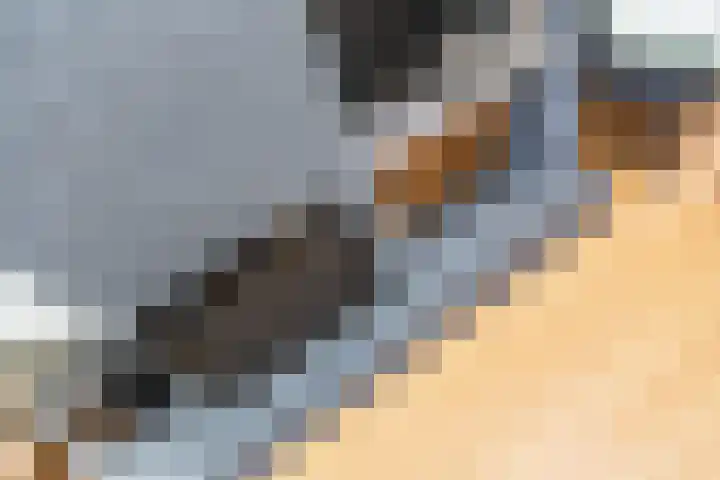 Merel 10 Bodegraven thumbnail 9