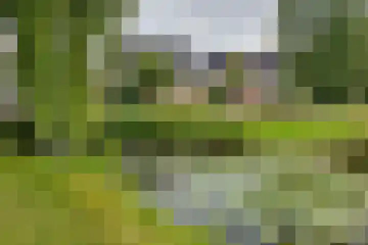 Merel 14 Obdam thumbnail 54
