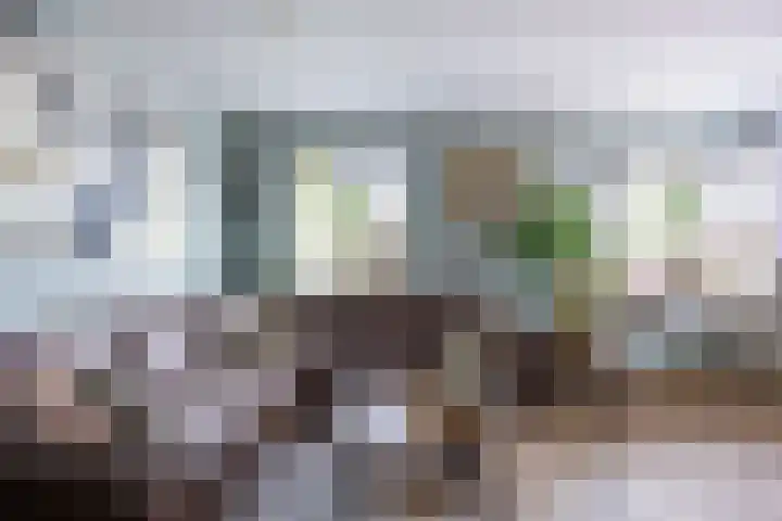 Merel 15 Bedum thumbnail 10