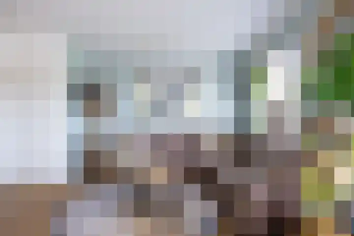 Merel 15 Bedum thumbnail 12