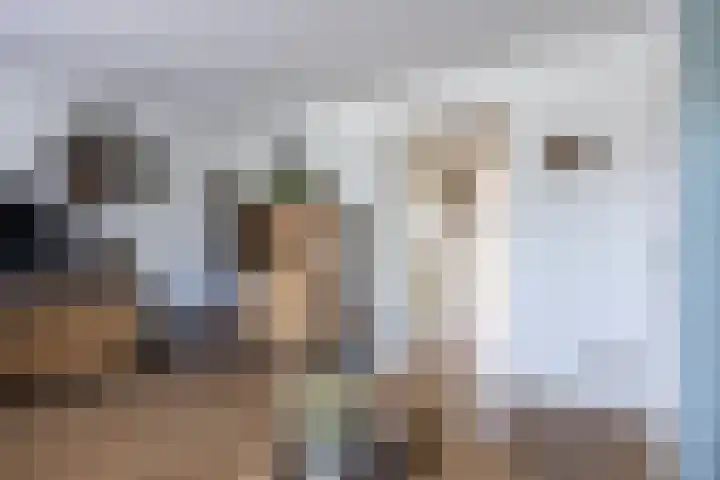 Merel 15 Bedum thumbnail 14