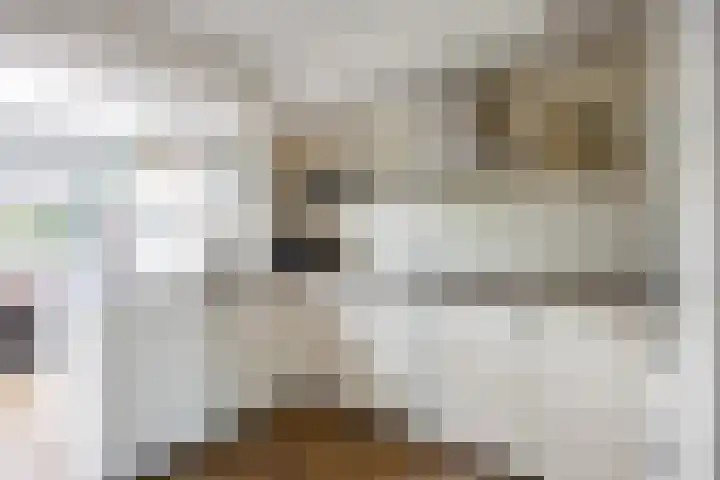Merel 15 Bedum thumbnail 18