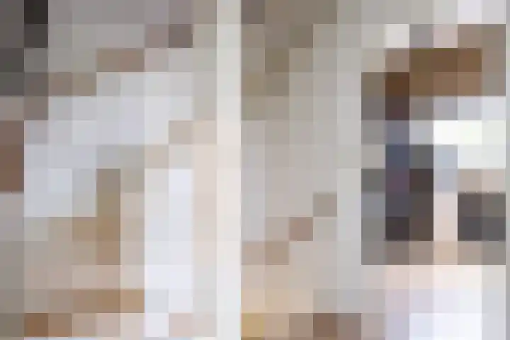 Merel 15 Bedum thumbnail 33