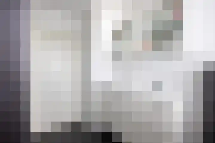 Merel 15 Bedum thumbnail 45