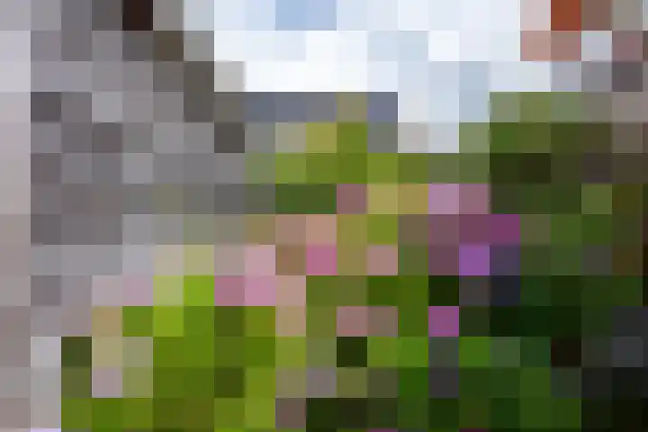 Merel 15 Bedum thumbnail 53