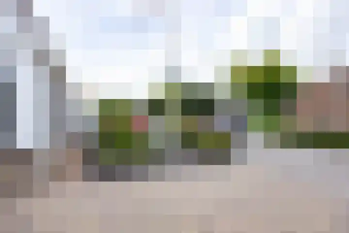 Merel 15 Bedum thumbnail 6