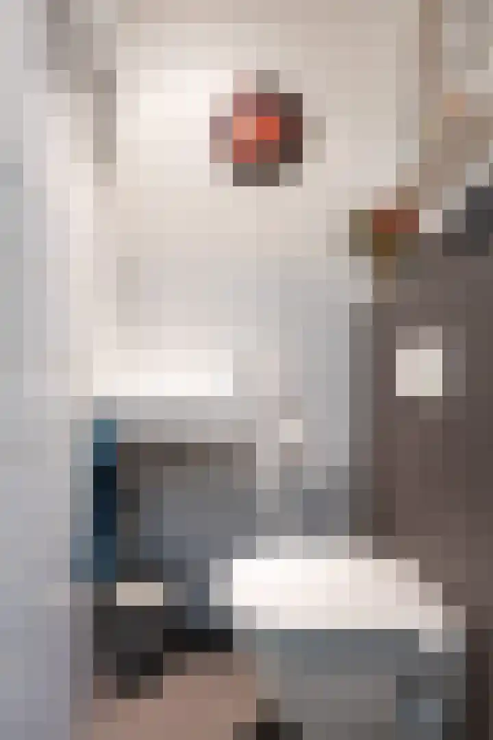 Merel 15 Bedum thumbnail 9