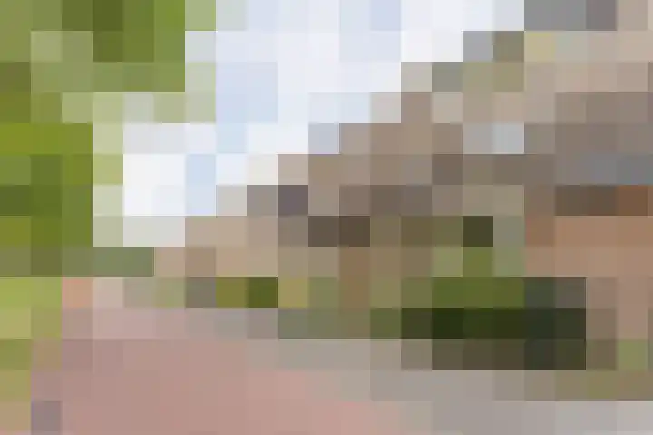 Merel 18 Bunschoten-Spakenburg thumbnail 4