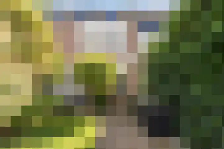 Merel 18 Bunschoten-Spakenburg thumbnail 43