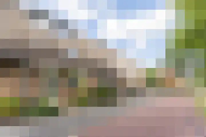 Merel 18 Bunschoten-Spakenburg thumbnail 5
