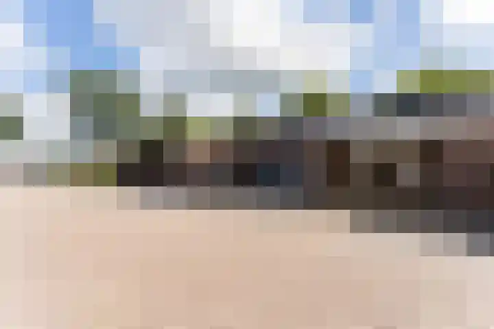 Merel 18 Bunschoten-Spakenburg thumbnail 50