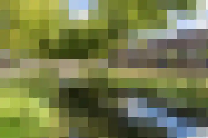 Merel 18 Bunschoten-Spakenburg thumbnail 52