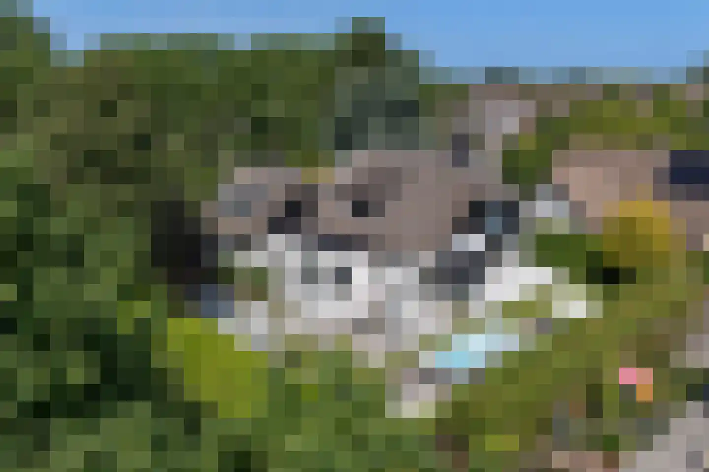 Merel 2 Venhuizen thumbnail 10