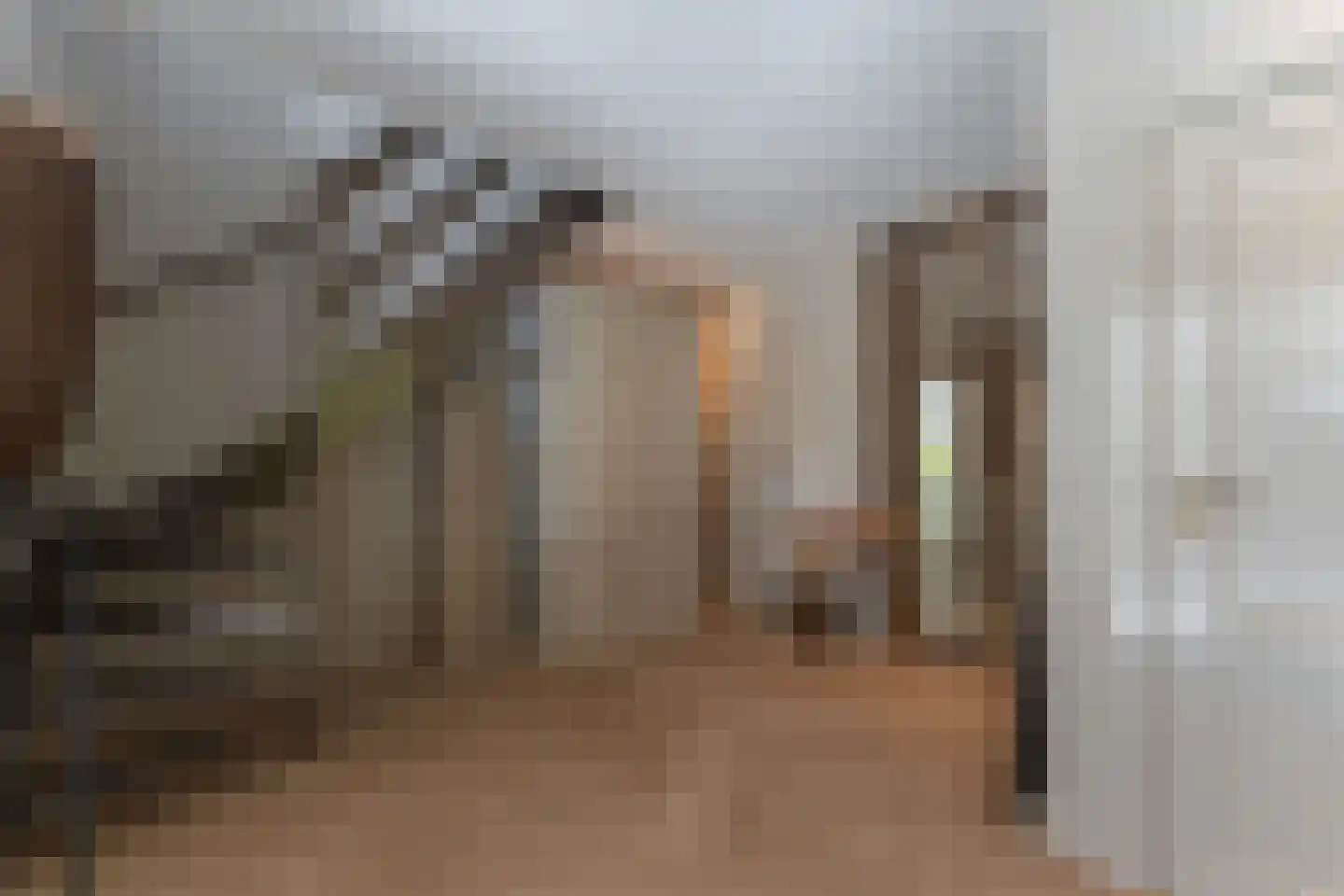 Merel 2 Venhuizen thumbnail 14
