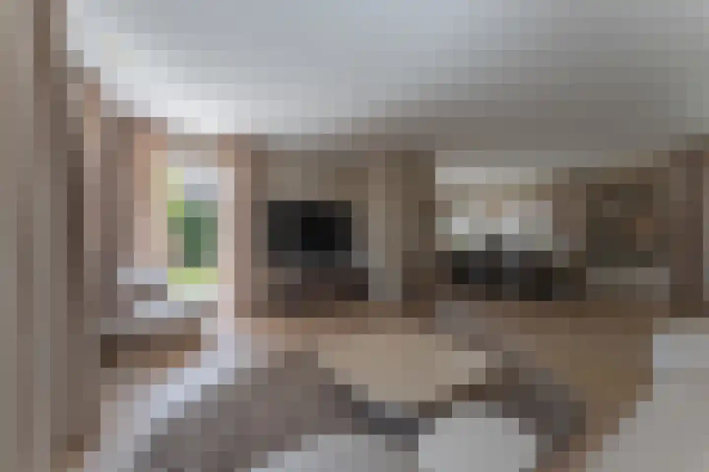 Merel 2 Venhuizen thumbnail 16