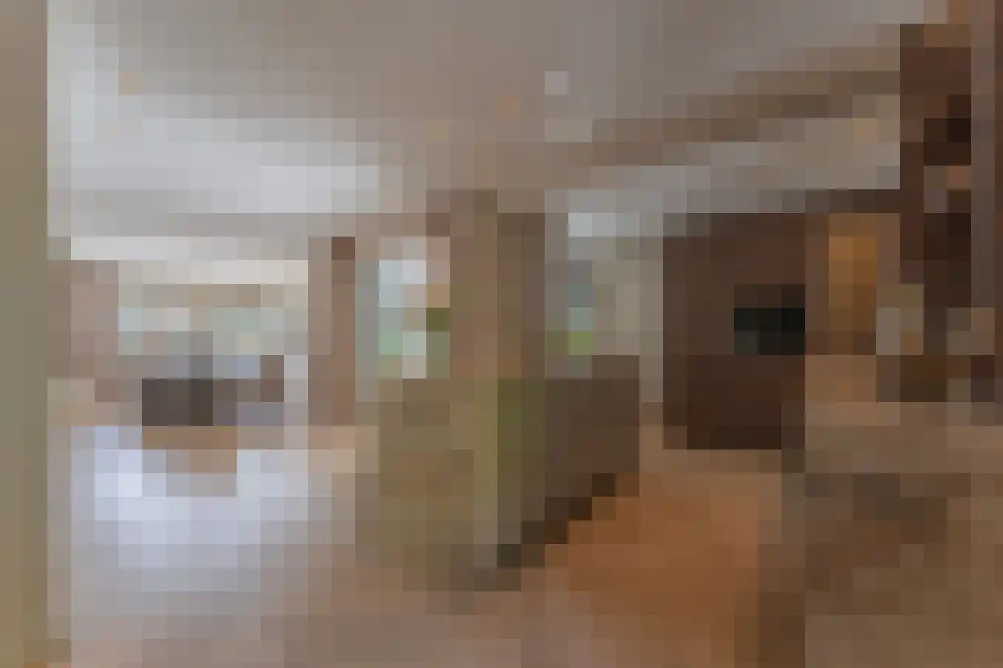 Merel 2 Venhuizen thumbnail 19