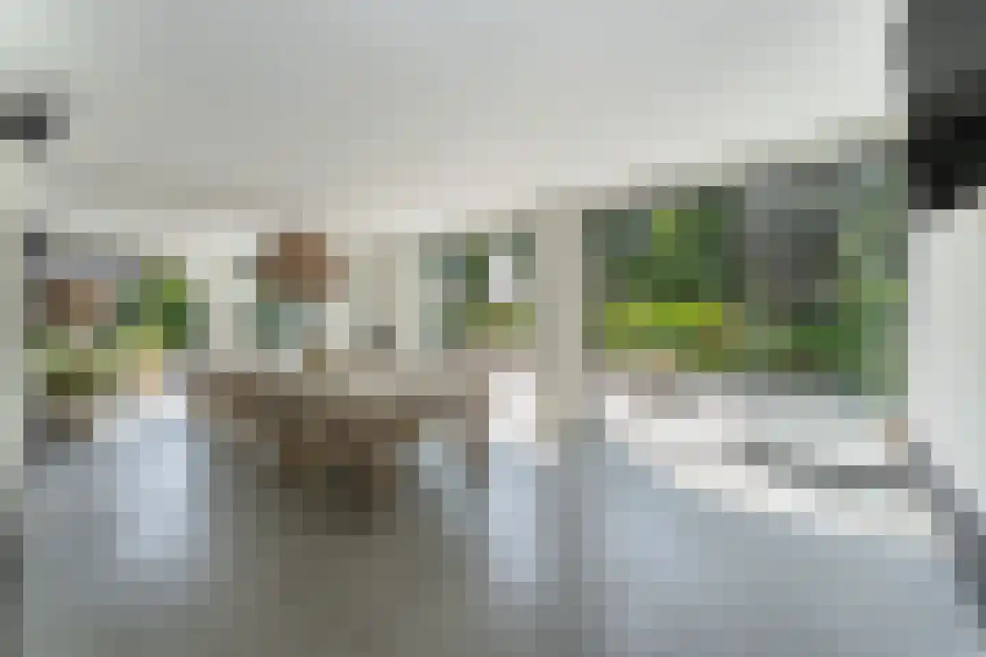 Merel 2 Venhuizen thumbnail 27
