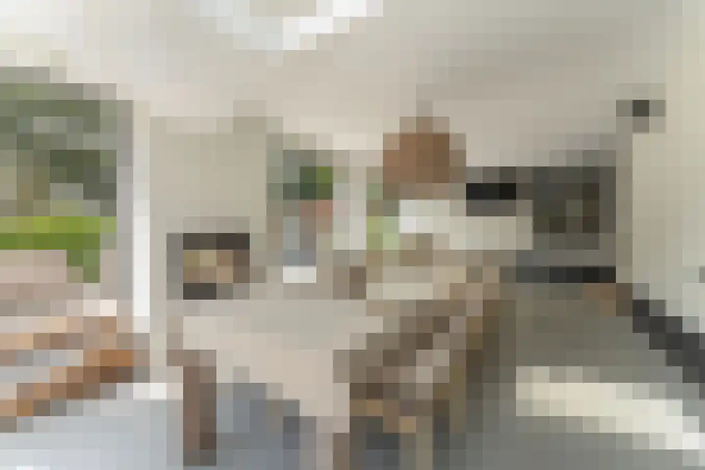 Merel 2 Venhuizen thumbnail 30