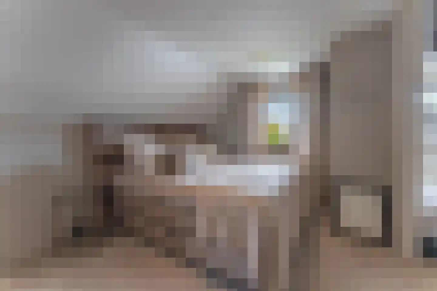 Merel 2 Venhuizen thumbnail 32