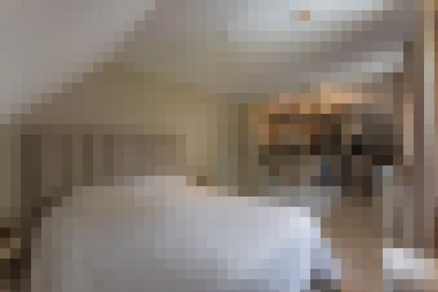 Merel 2 Venhuizen thumbnail 36