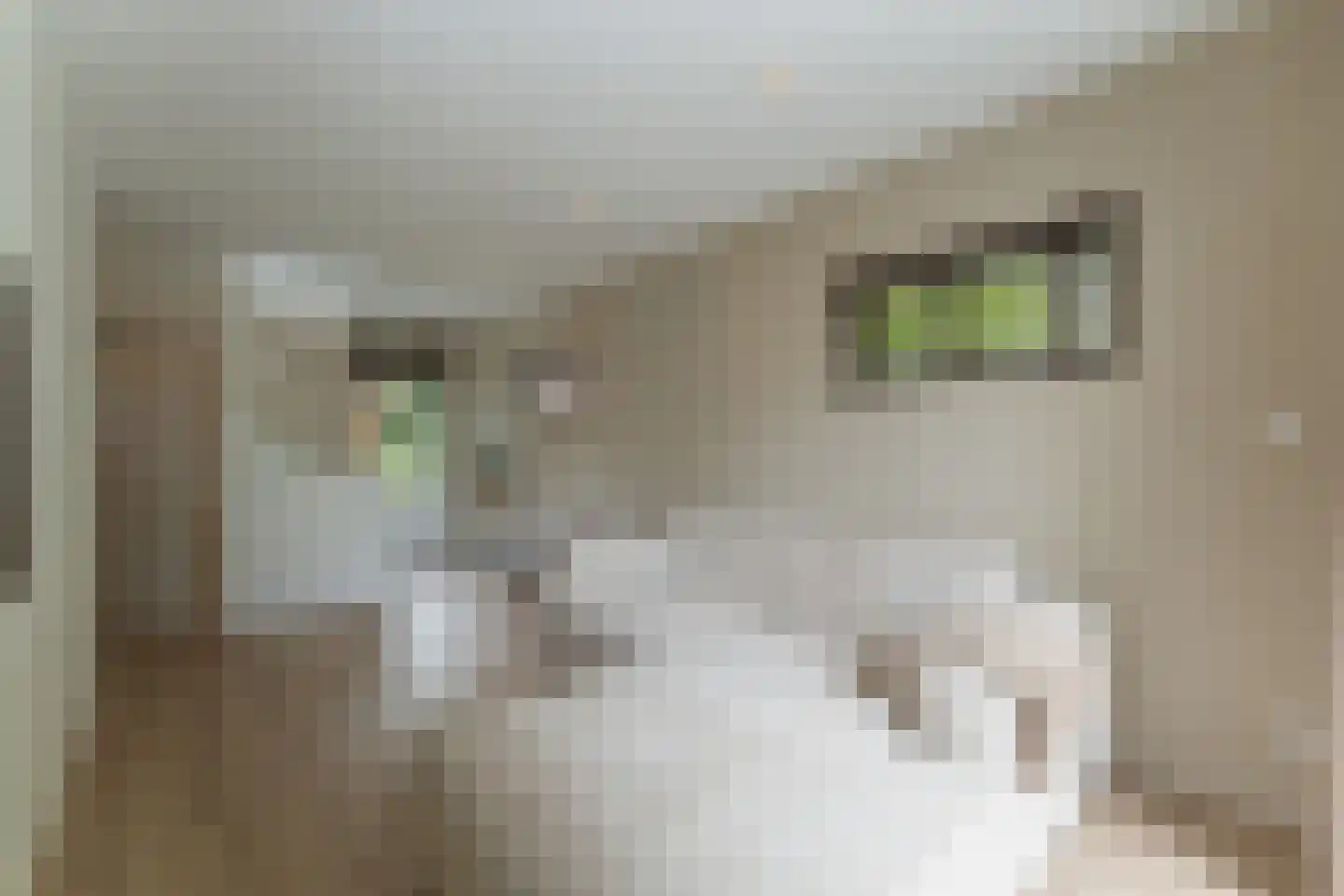 Merel 2 Venhuizen thumbnail 41