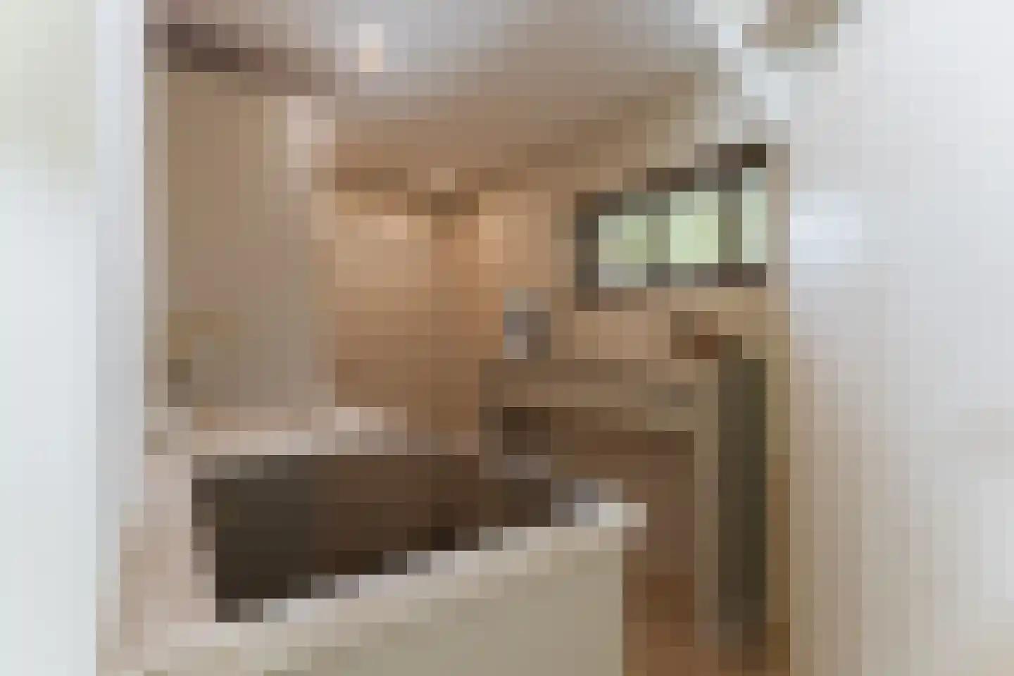 Merel 2 Venhuizen thumbnail 42