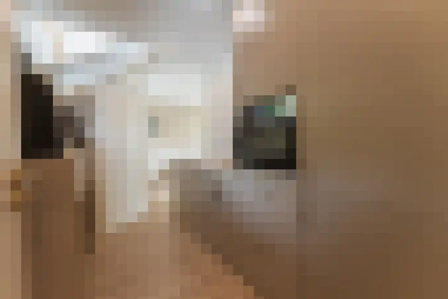 Merel 2 Venhuizen thumbnail 43