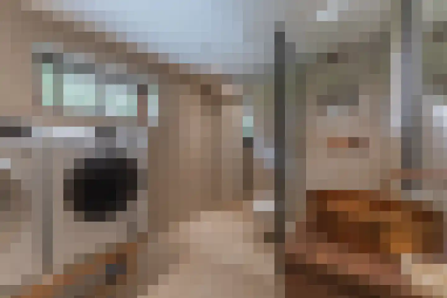 Merel 2 Venhuizen thumbnail 44