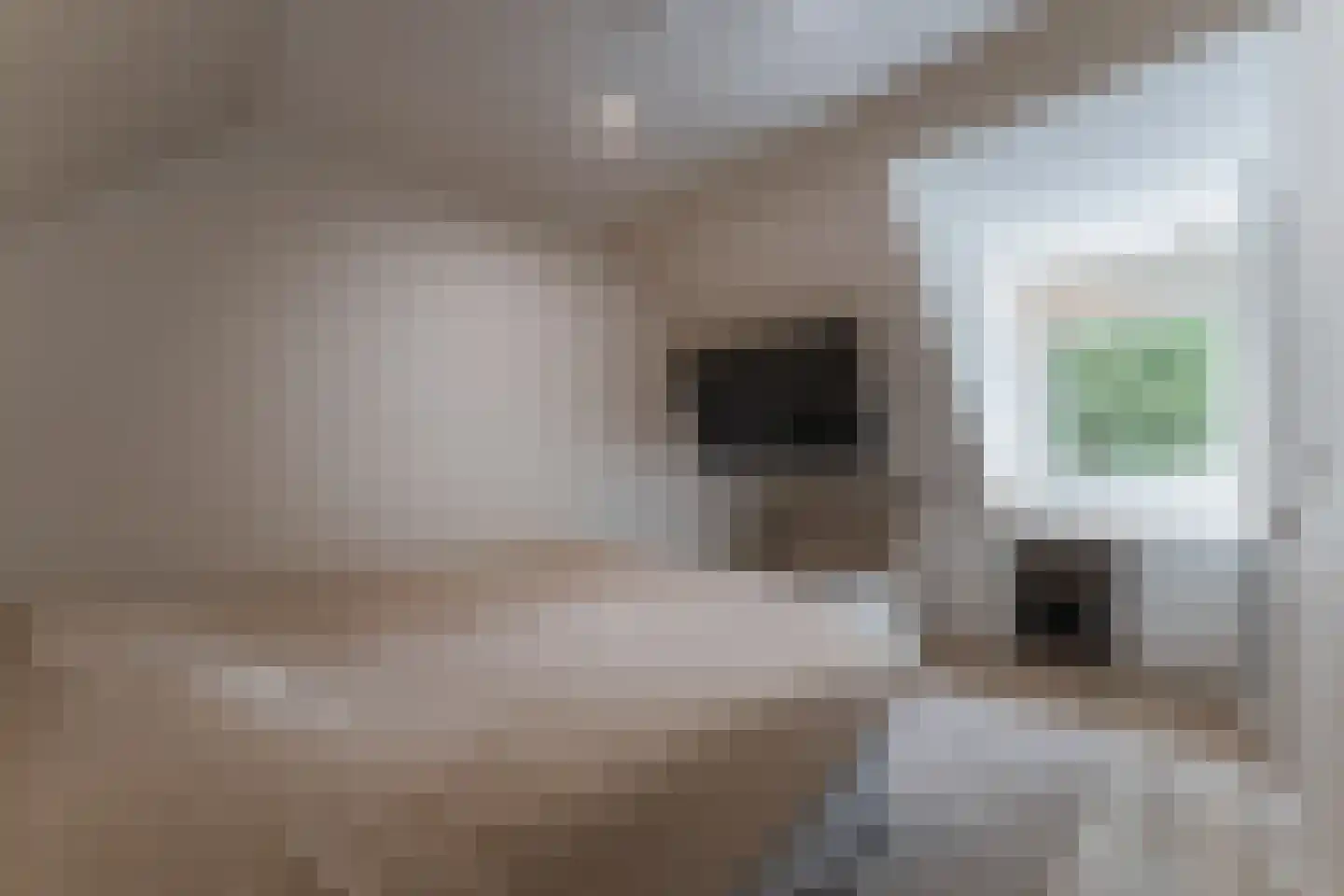 Merel 2 Venhuizen thumbnail 47