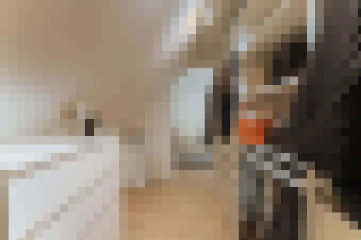 Merel 2 Venhuizen thumbnail 48