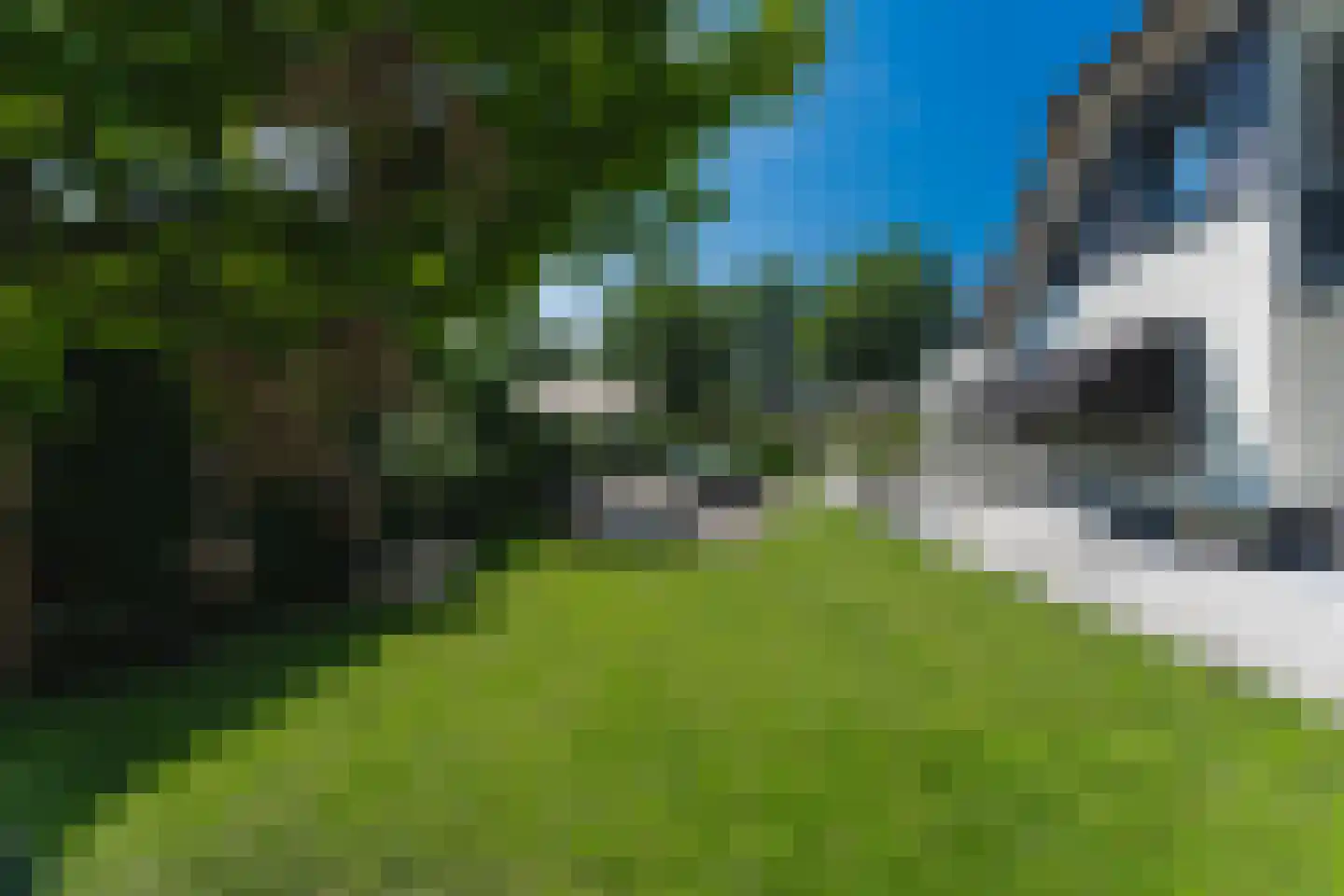Merel 2 Venhuizen thumbnail 5