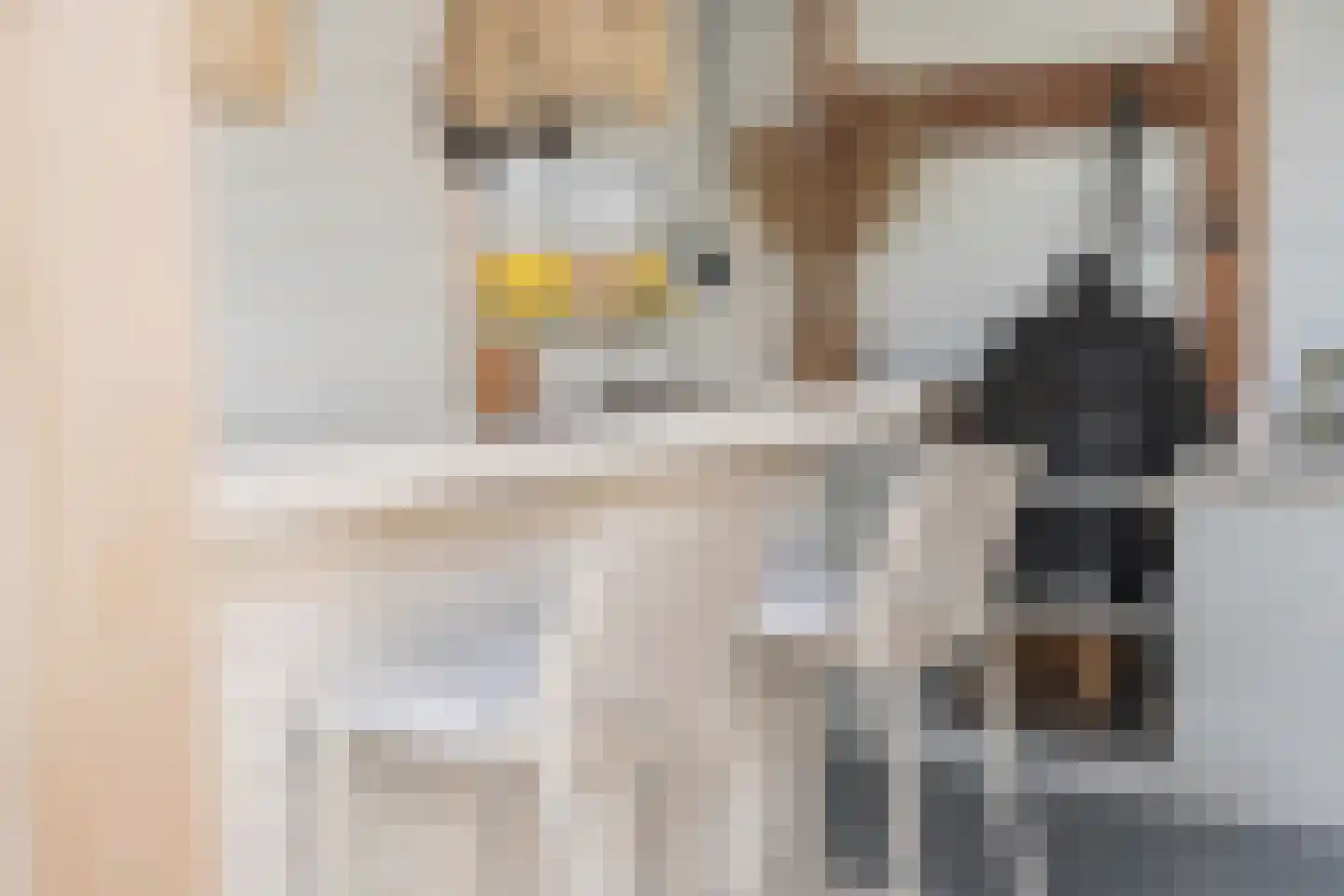 Merel 2 Venhuizen thumbnail 53