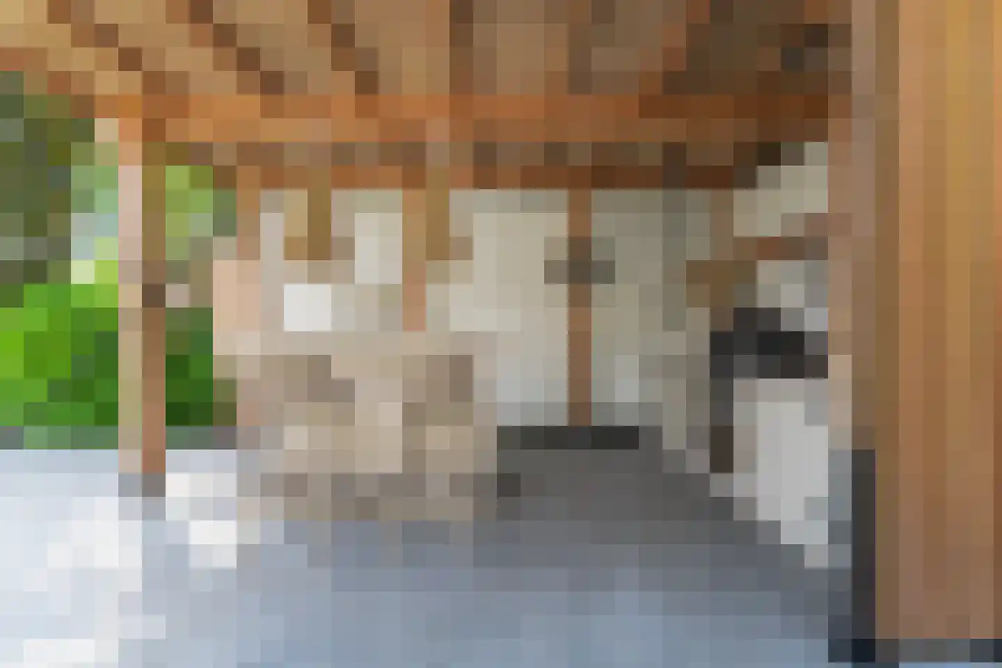 Merel 2 Venhuizen thumbnail 57