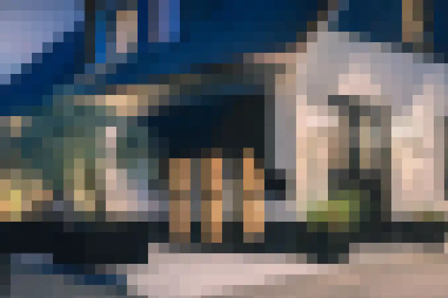 Merel 2 Venhuizen thumbnail 62
