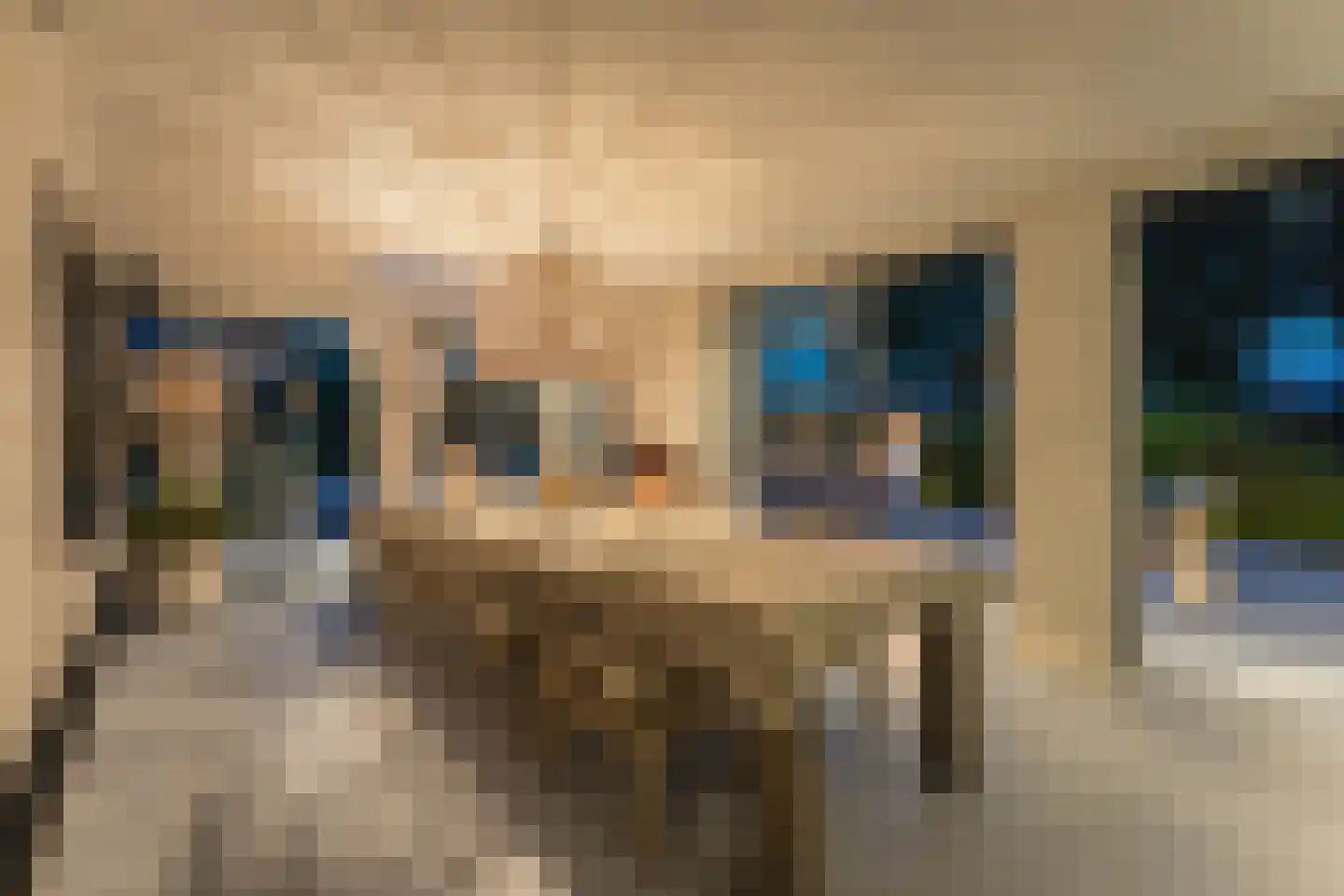 Merel 2 Venhuizen thumbnail 7